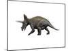 Triceratops Dinosaur-null-Mounted Art Print