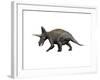 Triceratops Dinosaur-null-Framed Art Print