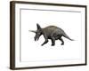 Triceratops Dinosaur-null-Framed Art Print