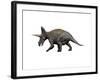 Triceratops Dinosaur-null-Framed Art Print