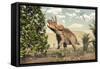 Triceratops Grazing on a Magnolia Tree-Stocktrek Images-Framed Stretched Canvas