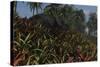 Triceratops Grazing on Lush Foliage-null-Stretched Canvas