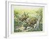 Triceratops Horridus, Cretaceous Period-null-Framed Giclee Print