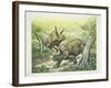 Triceratops Horridus, Cretaceous Period-null-Framed Giclee Print