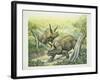 Triceratops Horridus, Cretaceous Period-null-Framed Giclee Print