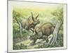 Triceratops Horridus, Cretaceous Period-null-Mounted Giclee Print