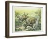 Triceratops Horridus, Cretaceous Period-null-Framed Giclee Print