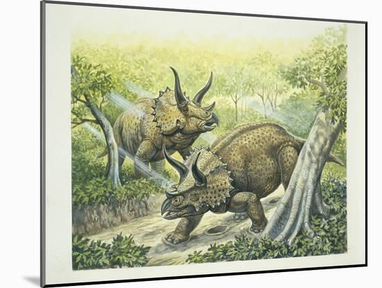 Triceratops Horridus, Cretaceous Period-null-Mounted Giclee Print