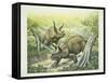 Triceratops Horridus, Cretaceous Period-null-Framed Stretched Canvas