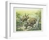 Triceratops Horridus, Cretaceous Period-null-Framed Giclee Print