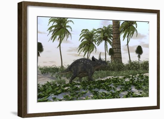 Triceratops in a Prehistoric Environment-null-Framed Art Print