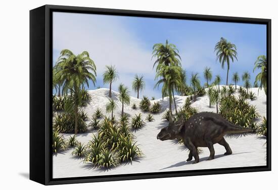 Triceratops in a Tropical Setting-null-Framed Stretched Canvas