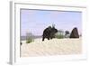 Triceratops on a Beach-null-Framed Art Print