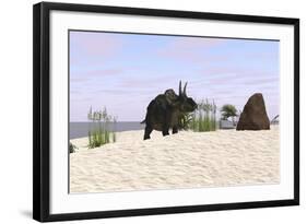 Triceratops on a Beach-null-Framed Art Print