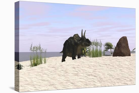 Triceratops on a Beach-null-Stretched Canvas