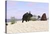 Triceratops on a Beach-null-Stretched Canvas