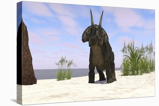 Triceratops on a Beach-null-Stretched Canvas