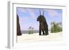 Triceratops on a Beach-null-Framed Art Print