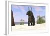 Triceratops on a Beach-null-Framed Art Print