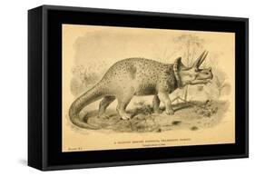 Triceratops Prorsus-Joseph Smit-Framed Stretched Canvas