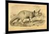 Triceratops Prorsus-Joseph Smit-Mounted Art Print