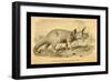 Triceratops Prorsus-Joseph Smit-Framed Premium Giclee Print