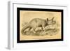 Triceratops Prorsus-Joseph Smit-Framed Premium Giclee Print