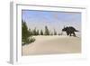 Triceratops Roaming a Prehistoric Landscape-null-Framed Art Print