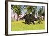 Triceratops Roaming a Tropical Environment-null-Framed Art Print