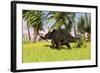 Triceratops Roaming a Tropical Environment-null-Framed Art Print