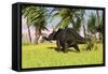 Triceratops Roaming a Tropical Environment-null-Framed Stretched Canvas