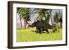 Triceratops Roaming a Tropical Environment-null-Framed Premium Giclee Print