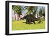 Triceratops Roaming a Tropical Environment-null-Framed Premium Giclee Print