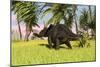 Triceratops Roaming a Tropical Environment-null-Mounted Premium Giclee Print