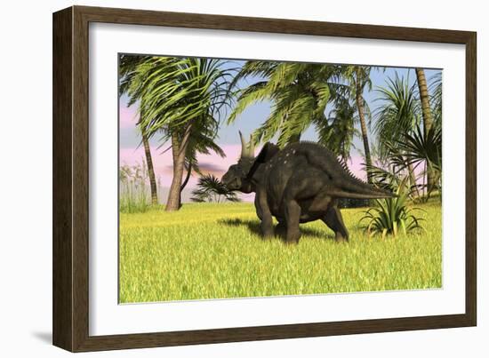 Triceratops Roaming a Tropical Environment-null-Framed Art Print