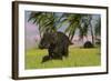 Triceratops Roaming a Tropical Environment-null-Framed Art Print