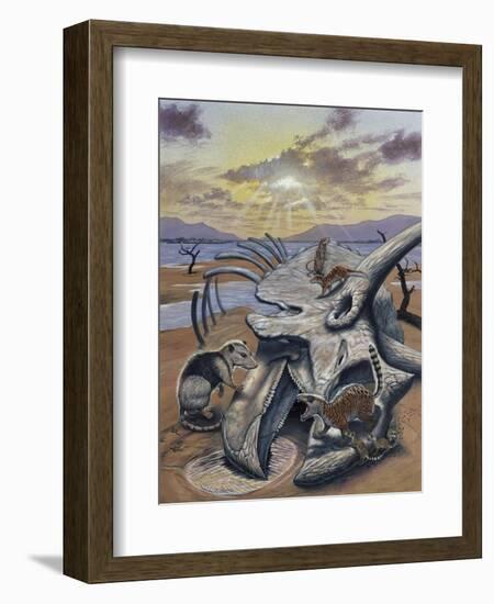 Triceratops Skull with Early Mammals-null-Framed Art Print