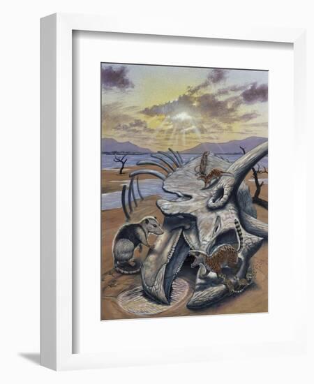 Triceratops Skull with Early Mammals-null-Framed Art Print