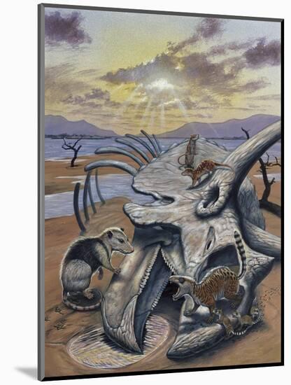 Triceratops Skull with Early Mammals-null-Mounted Art Print