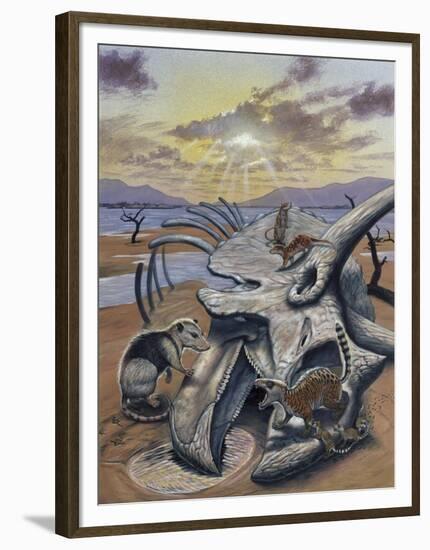 Triceratops Skull with Early Mammals-null-Framed Art Print