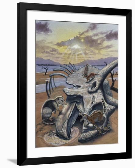 Triceratops Skull with Early Mammals-null-Framed Art Print