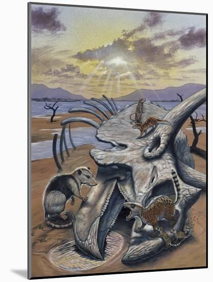 Triceratops Skull with Early Mammals-null-Mounted Art Print