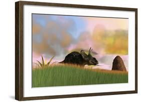 Triceratops Walking across a Grassy Field-null-Framed Art Print