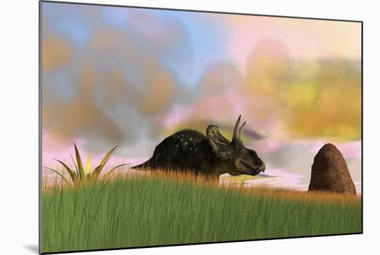 Triceratops Walking across a Grassy Field-null-Mounted Art Print