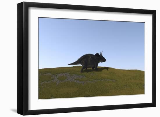 Triceratops Walking across a Grassy Field-null-Framed Art Print