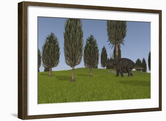 Triceratops Walking across a Grassy Field-null-Framed Art Print