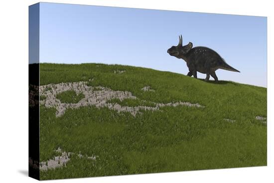 Stretched Canvas Print, , large