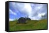 Triceratops Walking across Prehistoric Grasslands-null-Framed Stretched Canvas