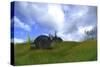 Triceratops Walking across Prehistoric Grasslands-null-Stretched Canvas