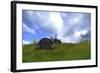 Triceratops Walking across Prehistoric Grasslands-null-Framed Art Print